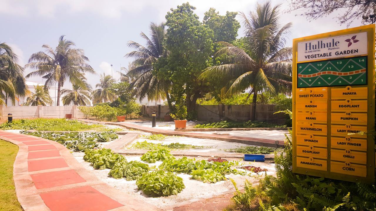 Hulhule Island Hotel Malé Exteriör bild